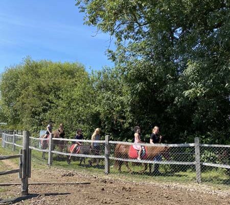 Ponyridning
